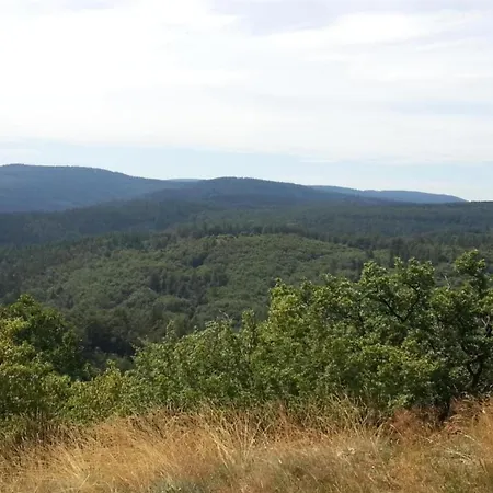 In Thuringia With Garden Mosbach (Thuringia)